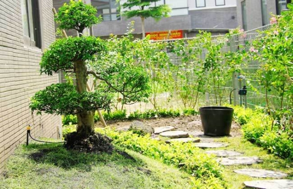 Vòi tưới cây sân vườn